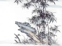 Cây trúc xinh