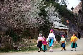 Mùa Xuân lên Hà Giang