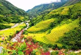 Tiếng gọi núi rừng