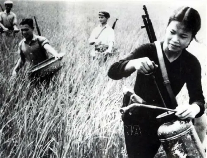 Tiếng hò trên đồng ruộng thâm canh