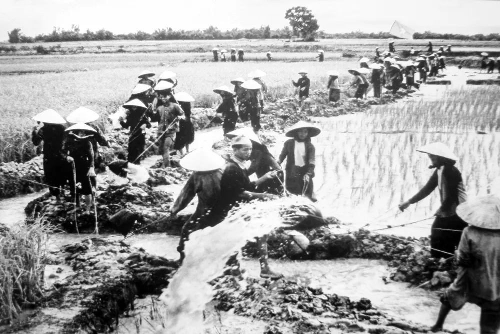 Bài ca năm tấn
