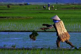 Hà Tĩnh mình thương