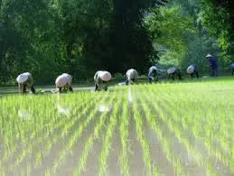 Tính hẹn cùng Tình