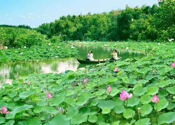 Một góc quê em