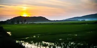 Bài ca đất phương Nam