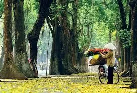 Có phải em mùa Thu Hà Nội