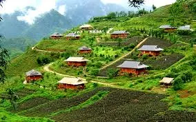 Tiếng hát giữa quê hương