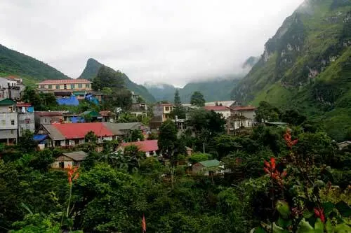 Bông hoa tám cánh