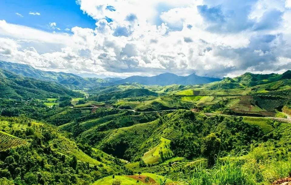 Tổ khúc "Hát về rừng núi Điện Biên"