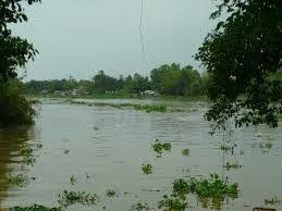 Dòng sông quê em