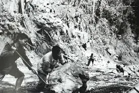 Chào em cô gái Lam Hồng