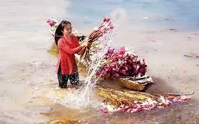 Bông súng đồng quê