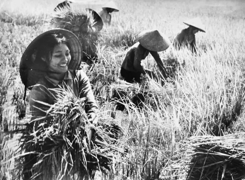 Bài ca năm tấn