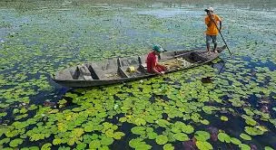 Câu hát đồng quê