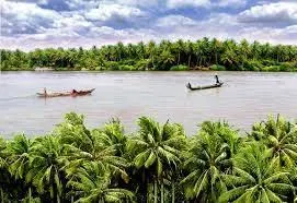 Bến Tre xanh biếc quê dừa