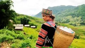 Sao cô em chưa về