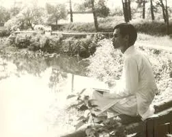 Hạt giống đỏ nảy mầm xuân