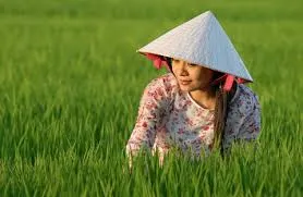 Em đẹp em xinh