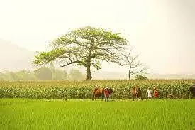 Gió lộng bốn phương