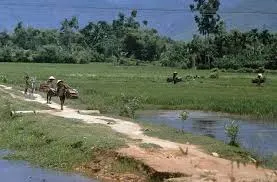 Miền Trung quê mẹ