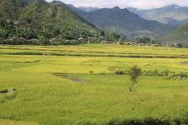 Gió lộng bốn phương