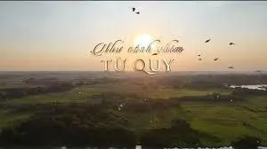 Cánh chim từ quy