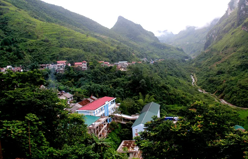 Bông hoa tám cánh