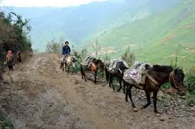 Khi chuyến hàng lên