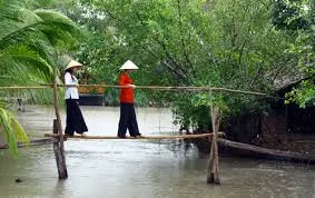 Tơ hồng