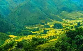 Tổ quốc yêu thương