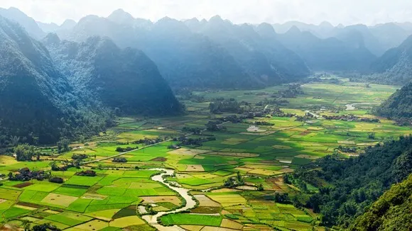 Ta đi tới