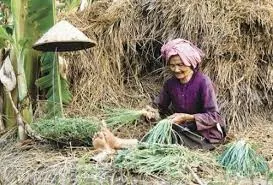 Nhớ mẹ