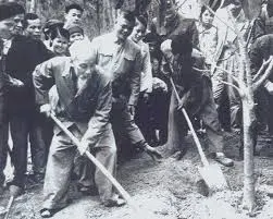 Lòng con nhớ Bác