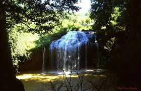 Một thoáng Đà Lạt