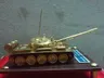 T Minh