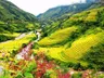 Giàng A Nho
